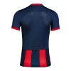 Maillot de Supporter San Lorenzo Domicile 2024-25 Pour Homme